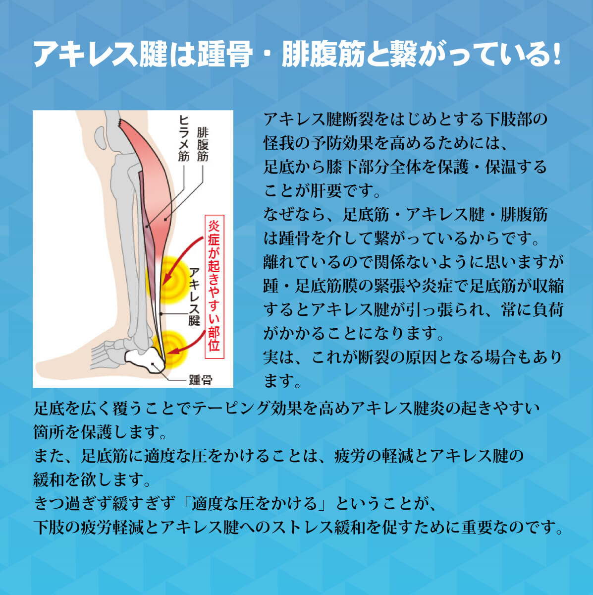 アキレス腱 保護サポーター EX – 西日本武道具